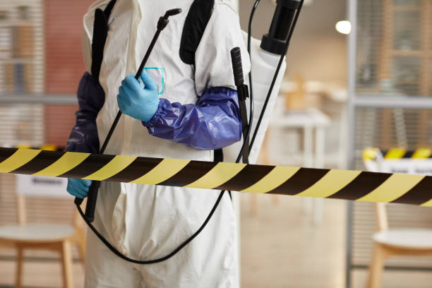 Professional Hoarding Cleanup technician working in Memphis, TX