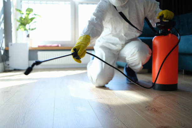 Reliable Hoarding Cleanup contractor in Memphis, TX by Dulley Family Biohazard Services